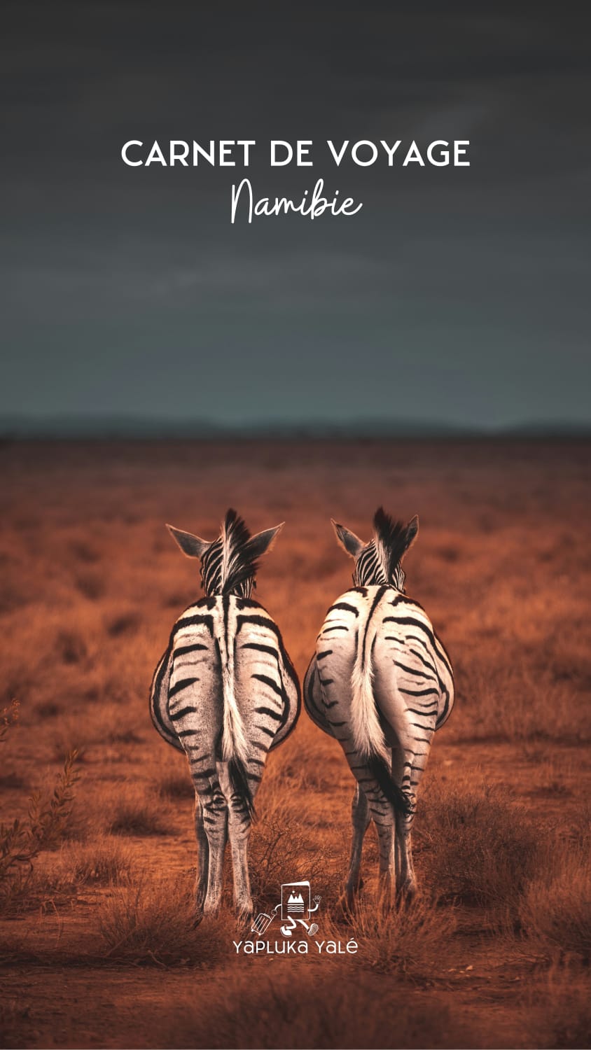 Carnet de voyage Namibie